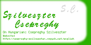 szilveszter csepreghy business card